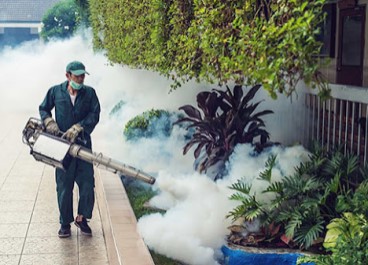 Fogging Services