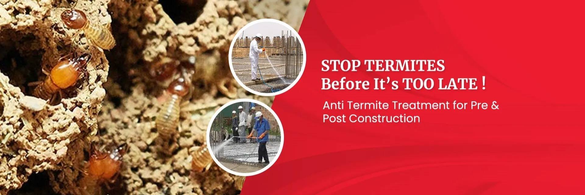Termite Control Service in Raipur