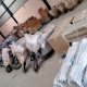 How to Find the Best Shifting & Relocation Service Providers in Jabalpur?